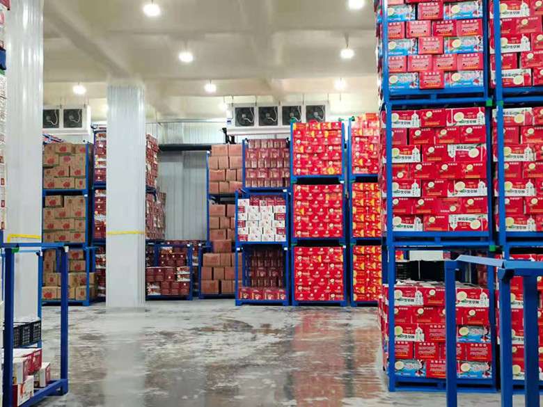 果蔬如何來判別是建造保鮮冷庫還是氣調冷庫？