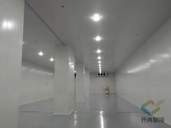 建設海鮮低溫冷凍庫安裝配置及價格是多少？