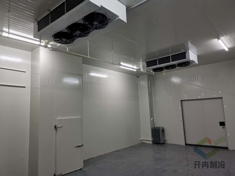 醫(yī)藥專業(yè)冷庫建設標準 醫(yī)藥專業(yè)冷庫建設標準