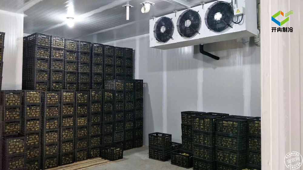 建造一個100噸的水果保鮮冷庫多少錢？