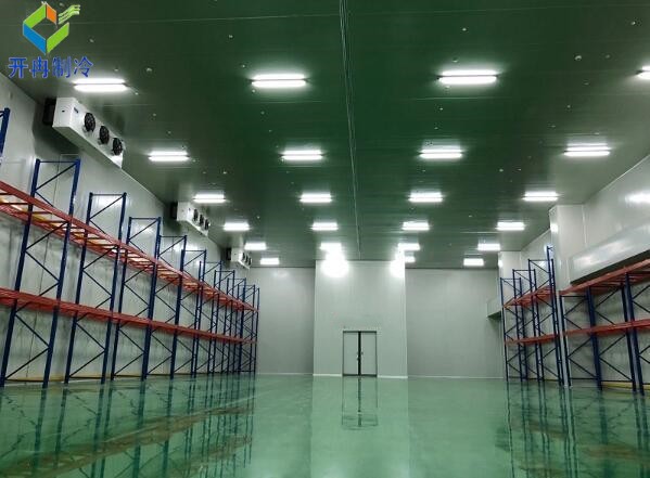 設(shè)一個2000噸冷庫需要多少錢?冷鏈物流行業(yè)的投資與挑戰(zhàn)