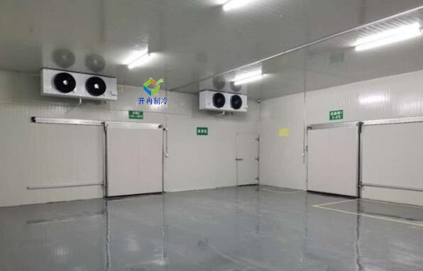 打造智能化電商生鮮冷庫,解鎖鮮活食材的流通奧秘