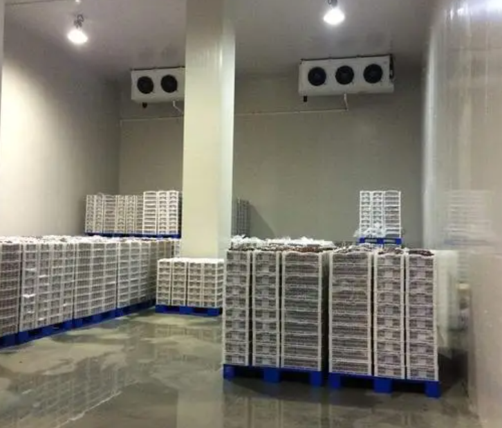 規(guī)范建造100平帶魚冷庫,為食品保鮮護(hù)航