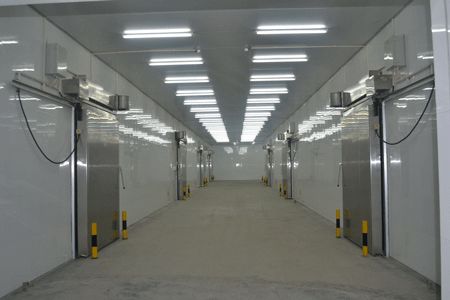 1571809963411725.jpg 22.jpg