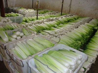 我想建一個蔬菜水果保鮮庫，冷庫溫度是多少