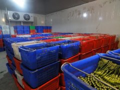 蔬菜批發(fā)市場(chǎng)建冷庫(kù)，建多大合適