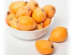 枇杷冷庫(kù)貯藏技術(shù)介紹，枇杷冷庫(kù)造價(jià)是多少