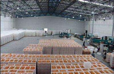 10000噸水果保鮮冷庫