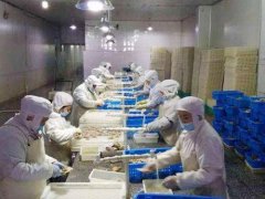 安裝一個3000立方低溫冷凍庫需要投資多少錢?