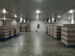 3000噸食品冷藏庫安裝造價是多少？