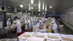 預建一個500噸水產冷庫造價多少錢一立方米？