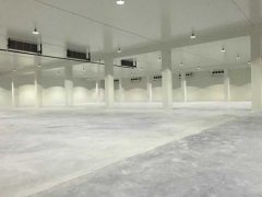 新建1000平方農產品冷藏庫大概要多少錢？