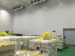 1000平方米果蔬冷庫安裝需要多少錢?