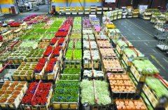 1000平米鮮花冷庫怎么安裝?造價費用是多少