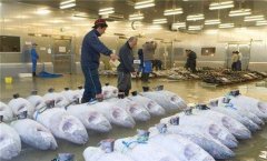 2000噸魚類冷庫安裝需要多少錢?