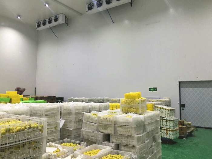 丑橘保鮮冷庫 丑橘保鮮冷庫