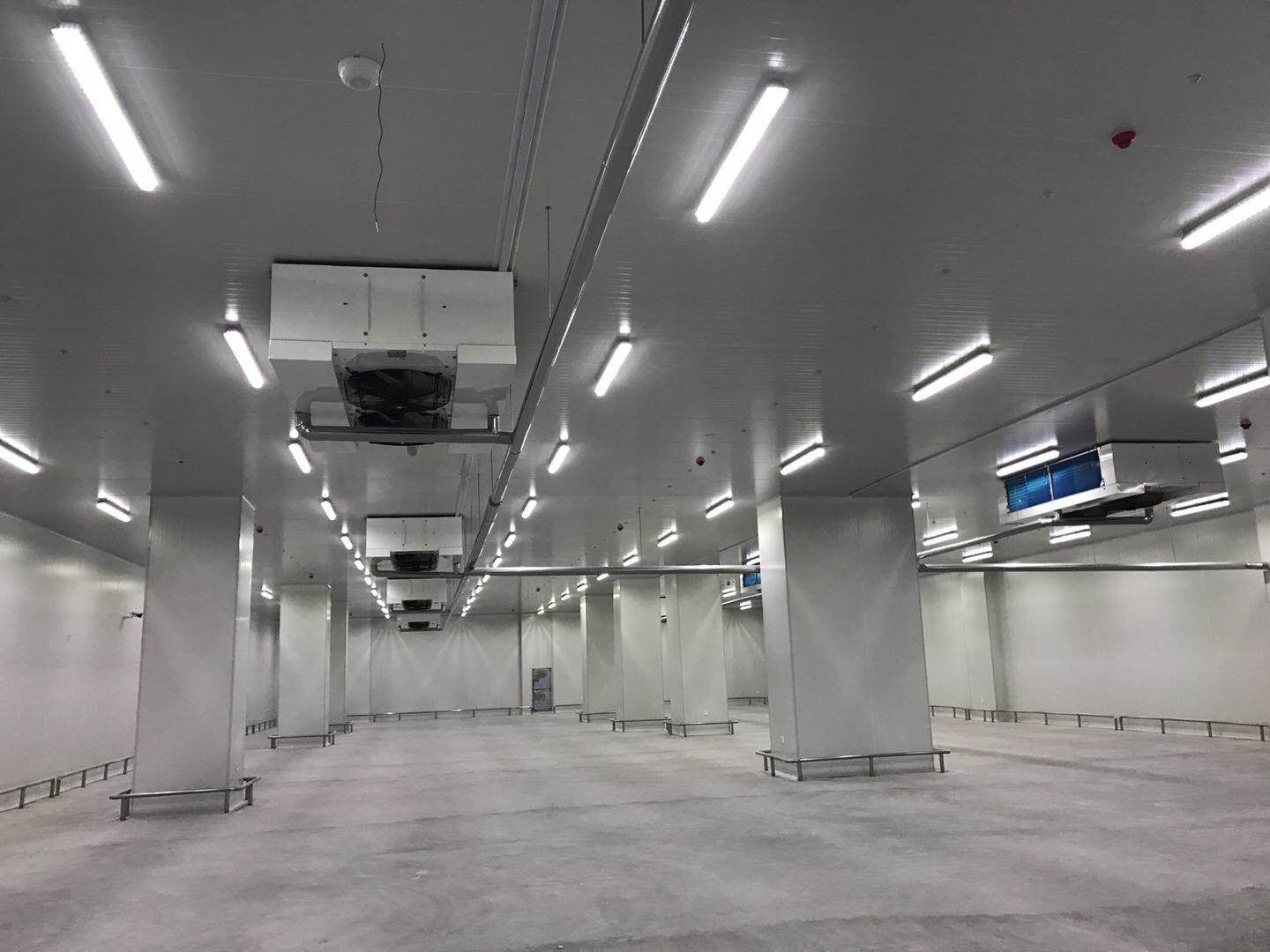 河北尚品15000m3倉(cāng)儲(chǔ)物流低溫冷藏冷凍庫(kù)新工程案例 河北尚品15000m3倉(cāng)儲(chǔ)物流低溫冷藏冷凍庫(kù)新工程案例