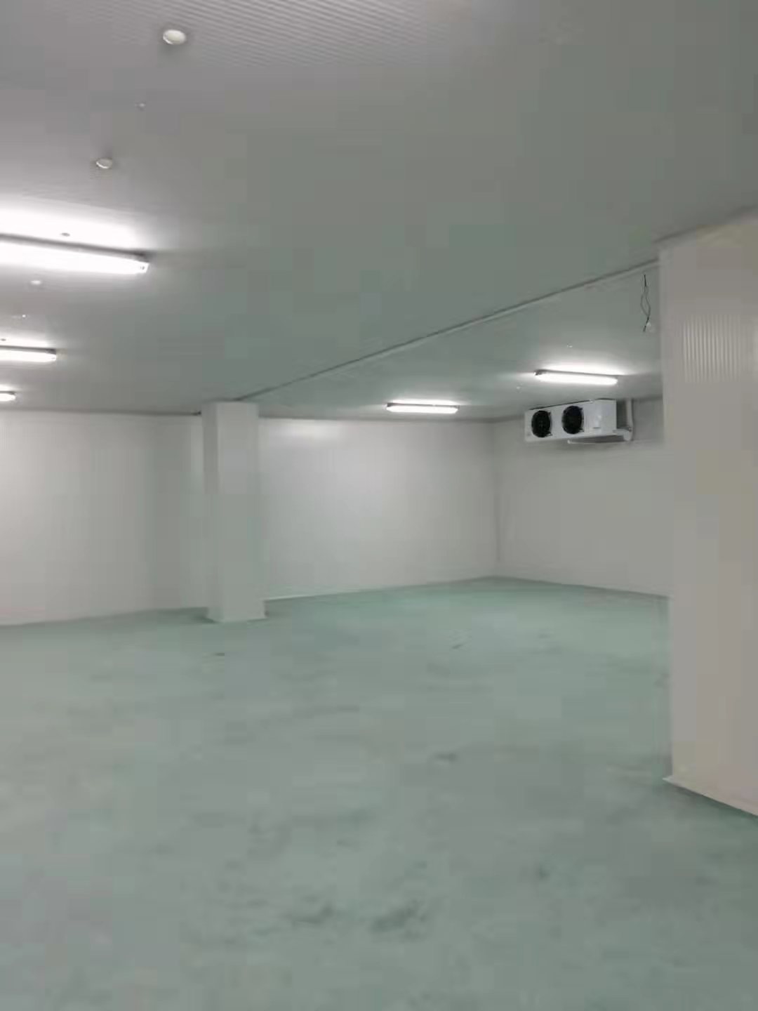 超低溫庫(kù)生物樣本冷庫(kù) 超低溫庫(kù)生物樣本冷庫(kù)