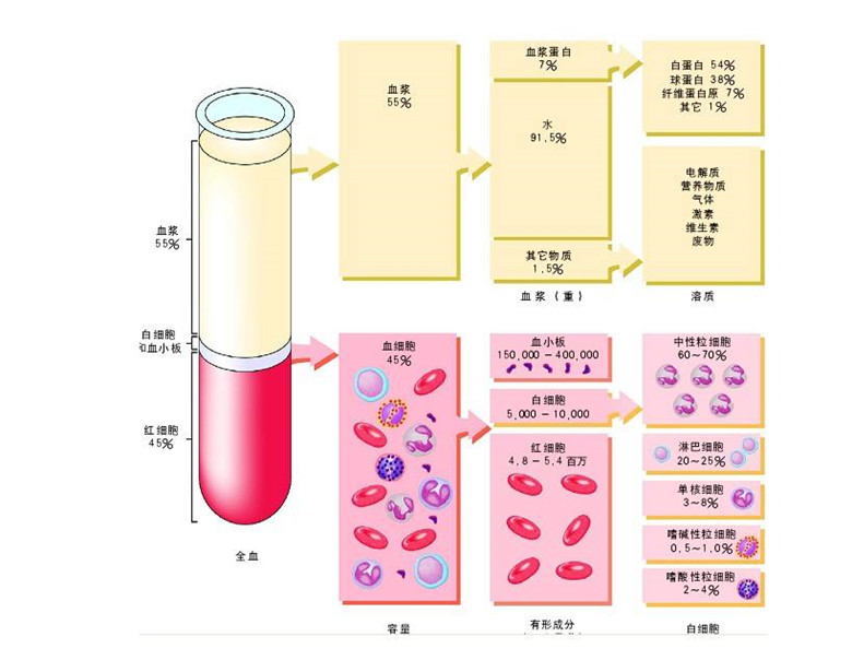 -30℃～-80℃血漿蛋白低溫冷凍庫規范，冷庫安裝價格