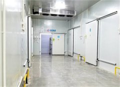 2020年冷庫值不值得投資？冷庫現狀如何？