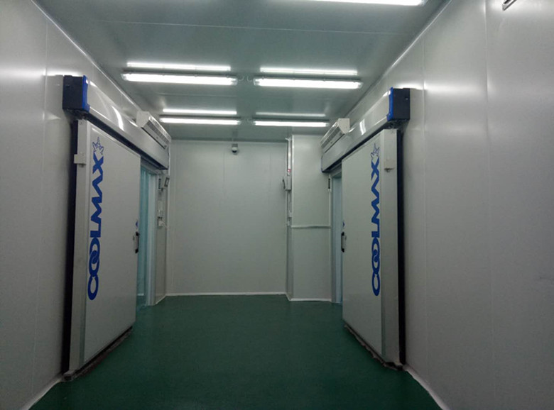 -80℃冷庫用于哪些領域,冷庫建設價格多少 -80℃冷庫用于哪些領域,冷庫建設價格多少