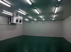 定制1000㎡食品冷凍庫(kù)(低溫冷藏庫(kù))設(shè)備安裝多少錢(qián)