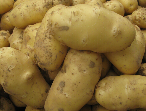 土豆冷藏庫(kù)