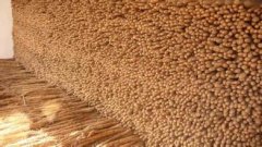 建一個(gè)山藥保鮮庫貯藏山藥有哪些好處?