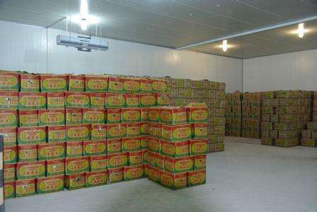 開(kāi)冉制冷為客戶(hù)建一座3200立方米瓜果保鮮庫(kù)完工案例圖片