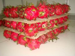 做一個水果氣調保鮮庫安裝大概需要多少錢？