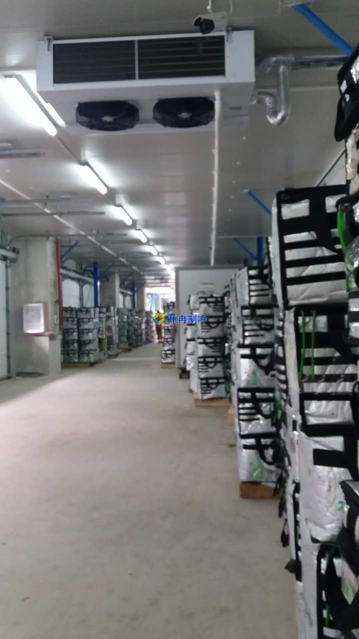 豬肉加工車間冷凍庫建設，排酸冷庫設計規劃方案