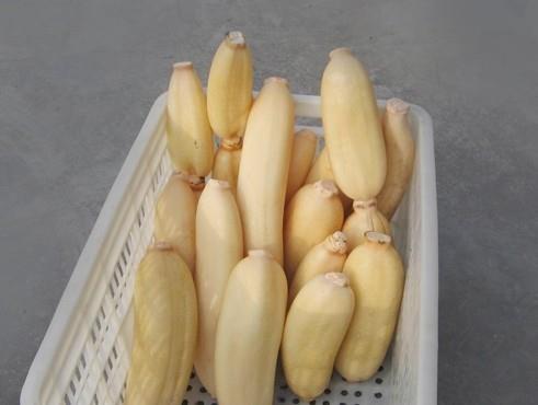 1500立方蓮藕冷庫建造，蓮藕保鮮庫造價怎么算