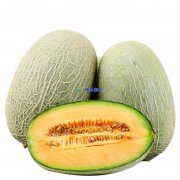 哈密瓜在保鮮庫可以儲存多久，儲存溫度是多少？