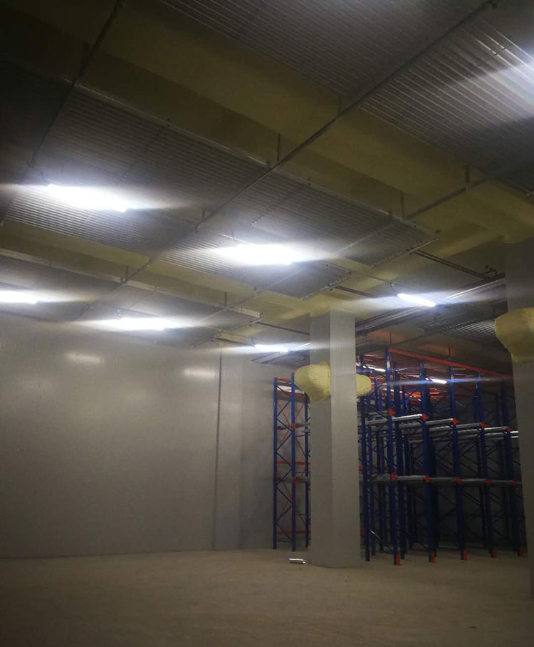 凍庫(kù)冷庫(kù)制冷機(jī)組投資預(yù)算,冷庫(kù)造價(jià)需要多少錢