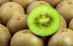 獼猴桃氣調保鮮冷庫造價，氣調庫哪家好